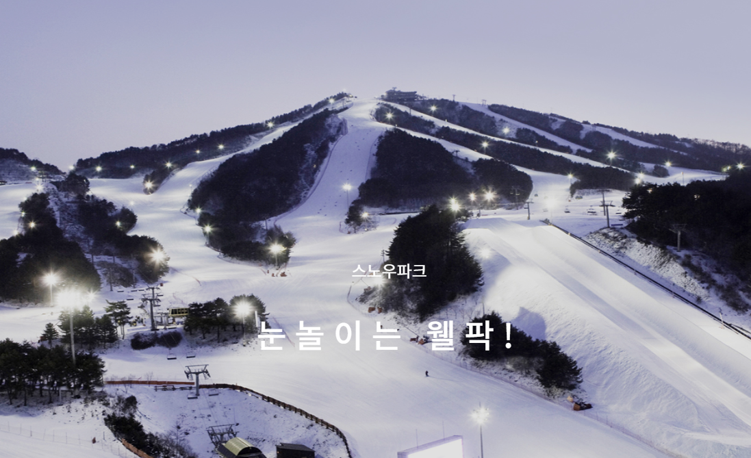 웰리힐리파크