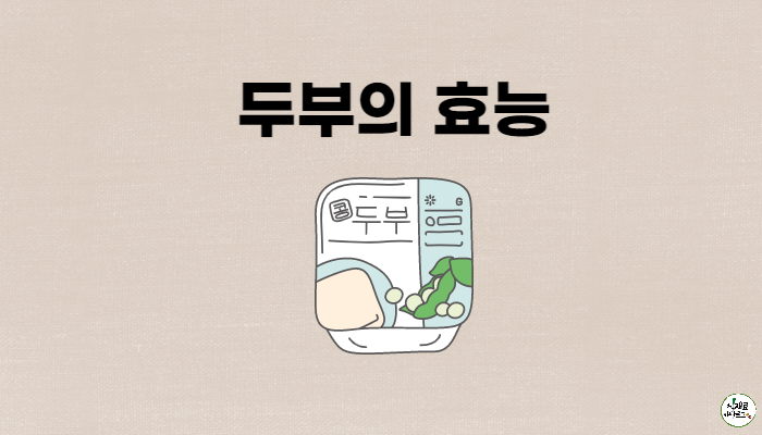 두부의 효능 썸네일