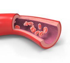 오메가3 효능 추천 순위 여성 필수 오메가3 복용시간 복용법 부작용