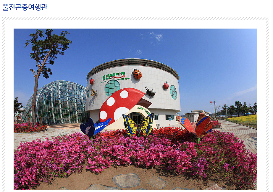 울진 가볼만한 곳 맛집 여행정보