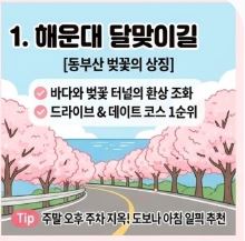 동부산 벚꽃 명소 BEST 4