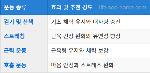 규칙적인 운동과 체력 관리