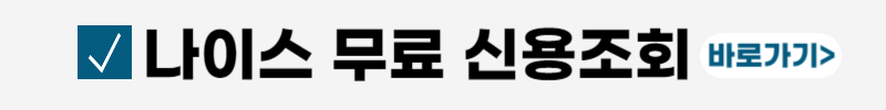 나이스지키미-무료신용조회