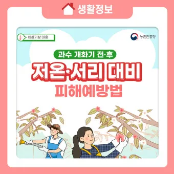 서리 발생 시기 농작물 보온 비닐 덮기 텃밭 관리_2