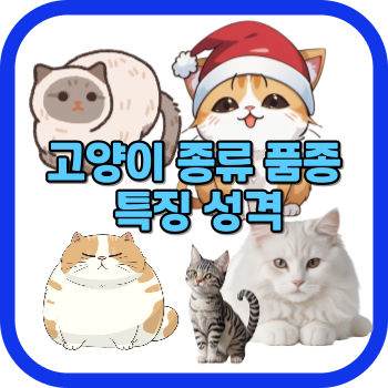 고양이 종류 품종 특징 성격