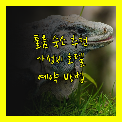 호텔 카르페 디엠 툴룸.. 가성비 갑