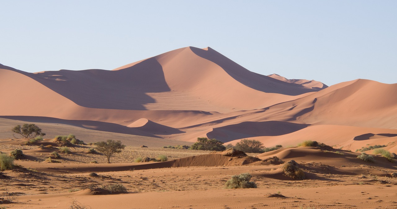 아프리카 나미브 사막