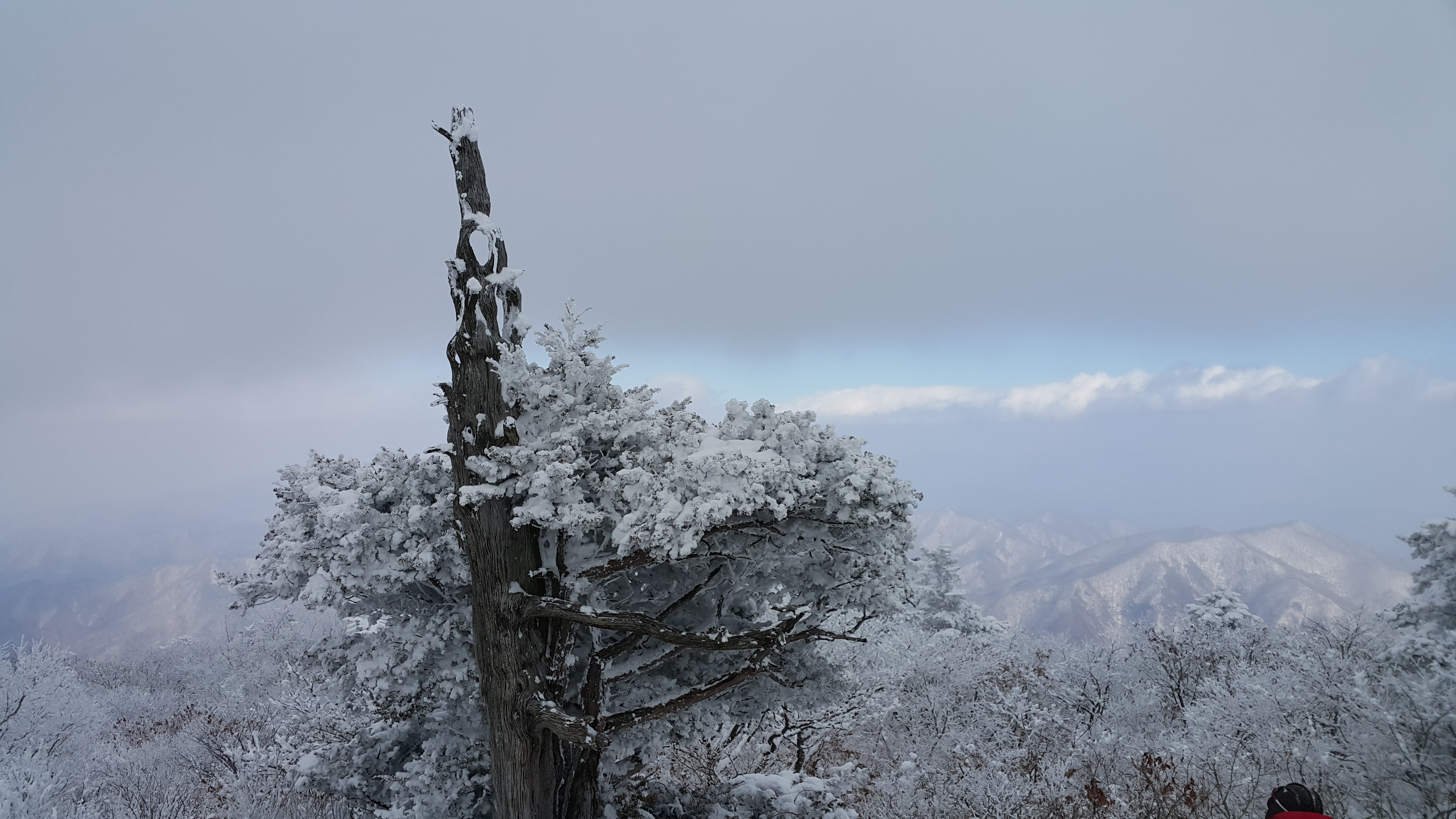 덕유산케이블카