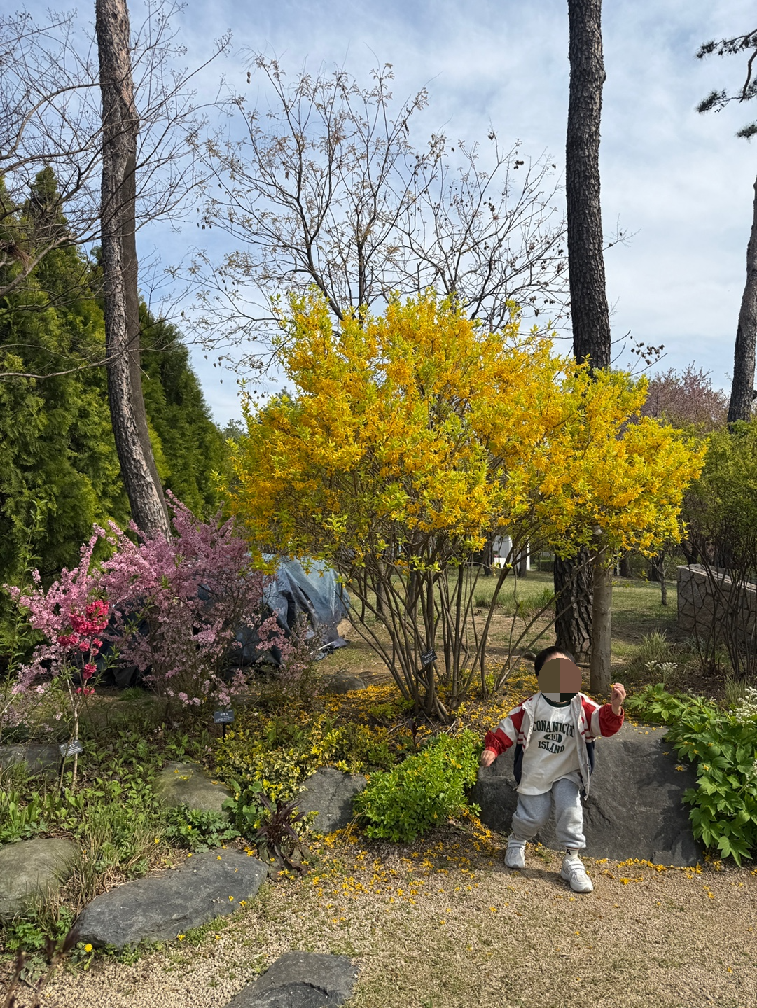 성남시청 조경 포토존 꽃과 나무 아이 사진 찍기 좋은 장소