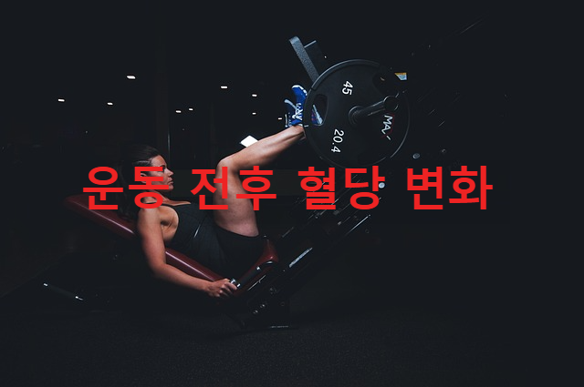 운동 전후 혈당 변화