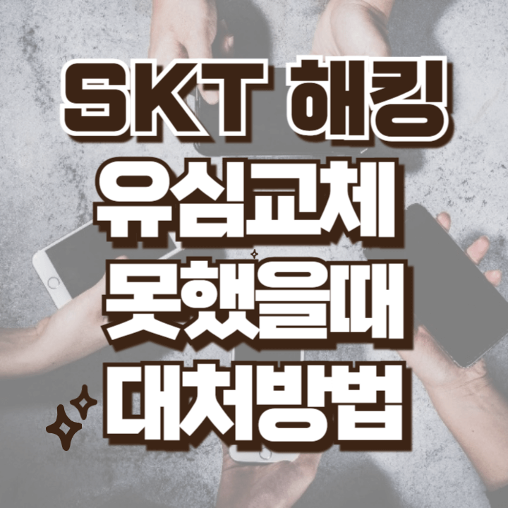 skt 해킹 유심교체 못했을때 대처방법