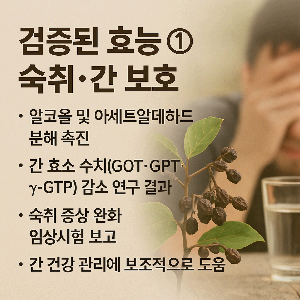 헛개나무열매