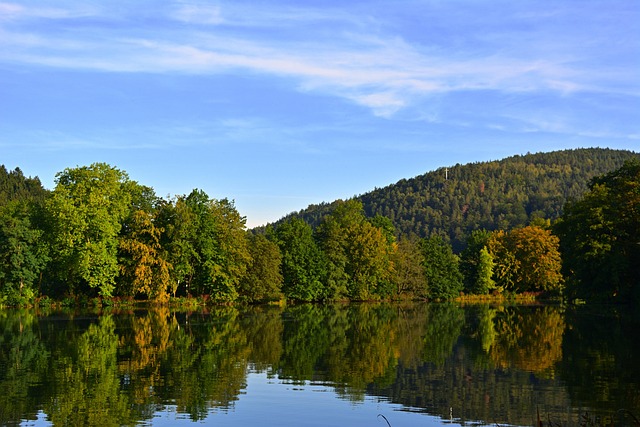 기사 VS 기술사 자격증 비교