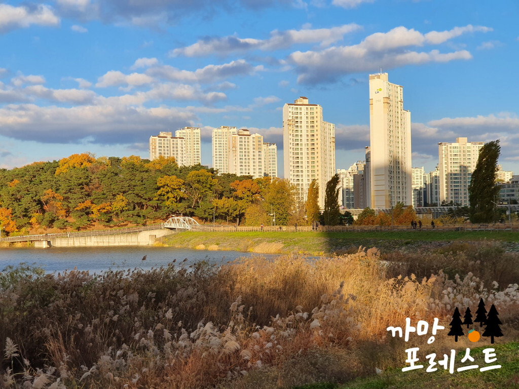 광교호수공원 늦가을 낮