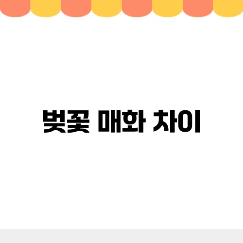 벚꽃 매화 차이, 구분법 개화시기 꽃말