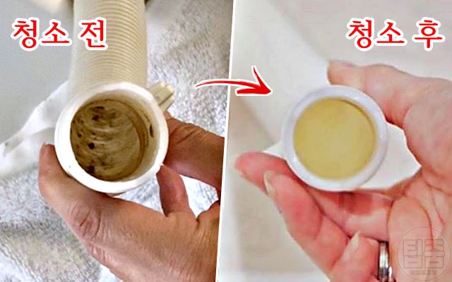 세탁기 배수호스 청소, 곰팡이 냄새 제거, 팁줌