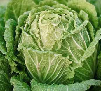 위염에 좋은 음식 영양제 식단