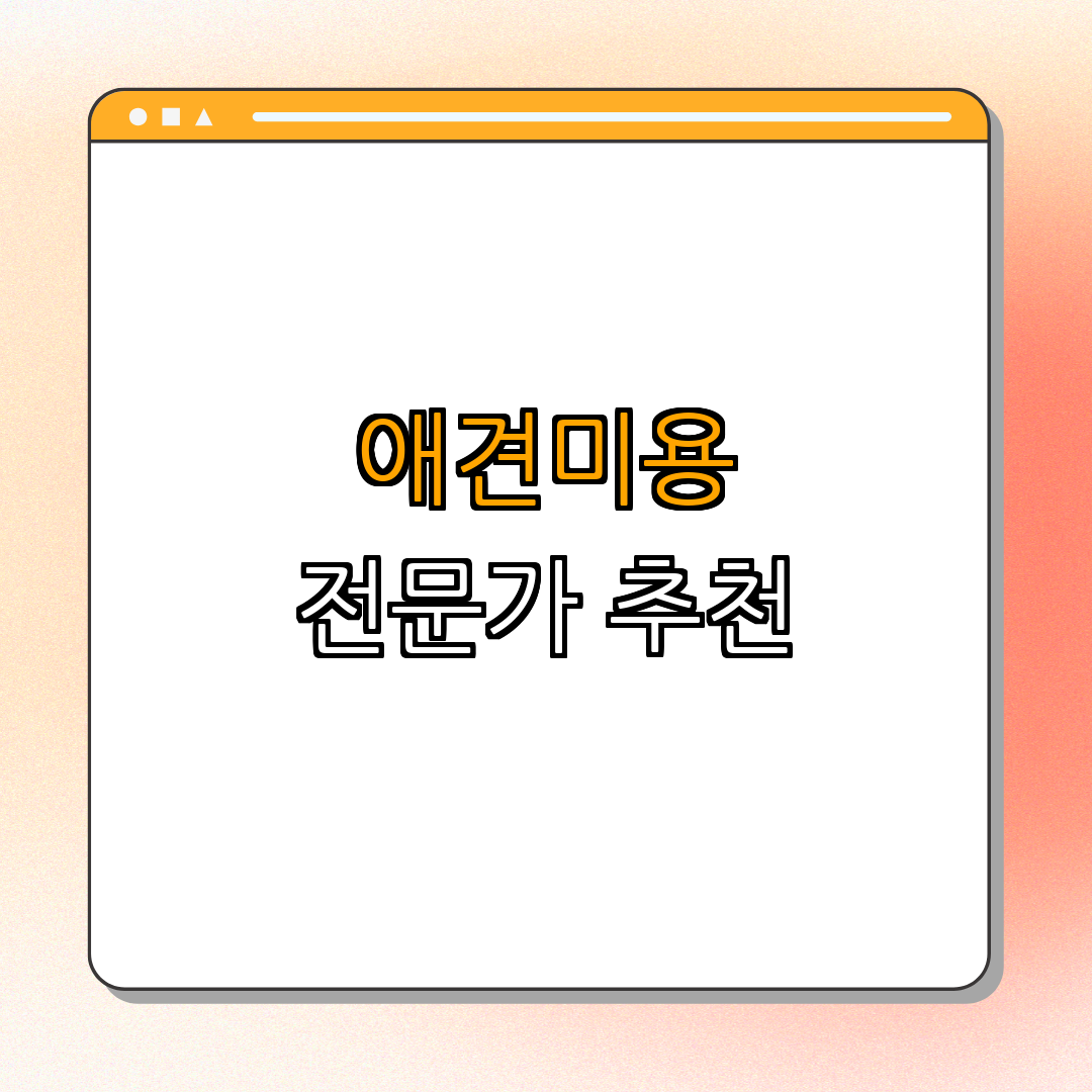 부산 서구 애견미용 잘하는 곳 BEST4 ｜ 할인 혜택 요청 ｜ 예약하기 ｜ 후기 확인 ｜ 가격 비교 ｜ 빠른 상담 ｜ 총정리