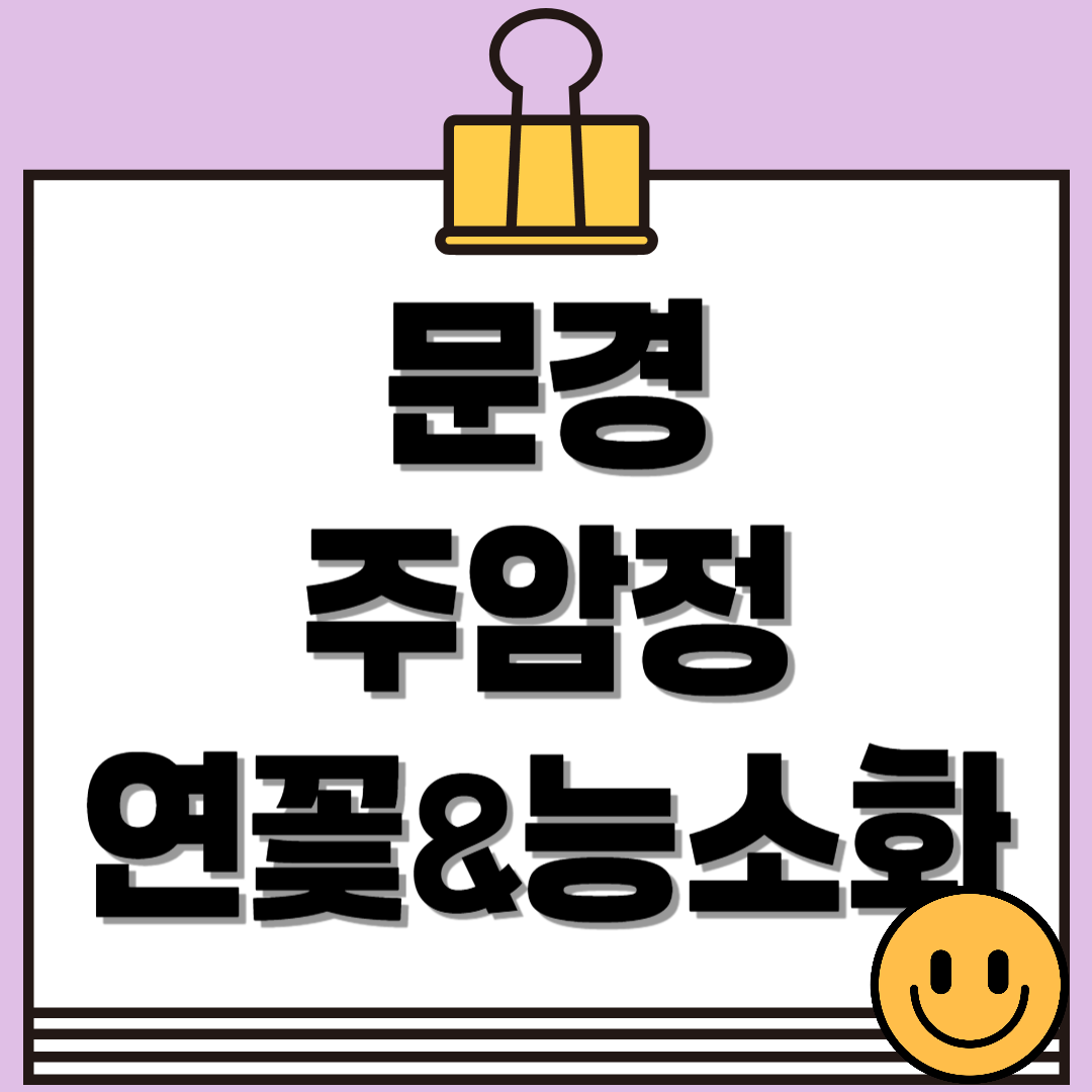 문경 주암정 연꽃과 능소화 명소, 6월~7월 인생샷 코스 정리