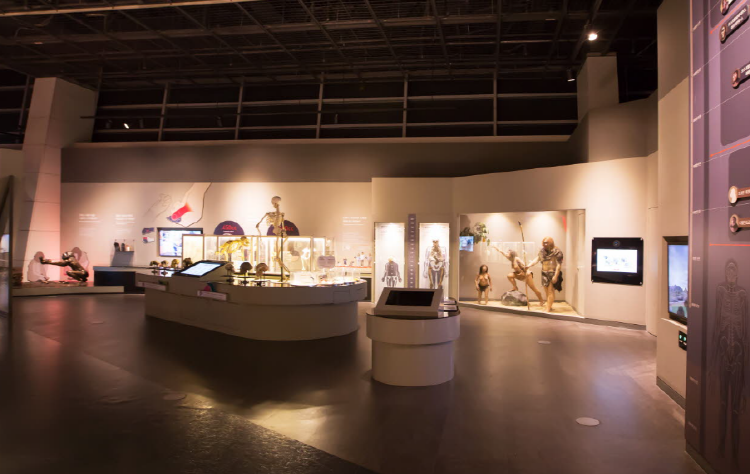 국립과천과학관