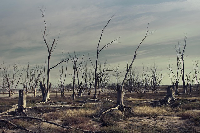 이재명 대통령 강릉 가뭄