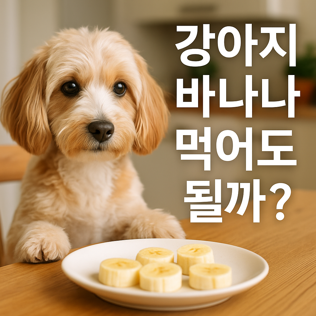 강아지 바나나 먹어도 될까? 실사이미지