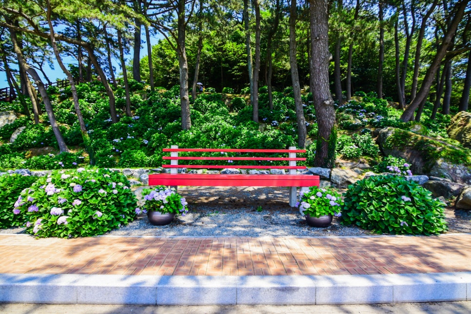 남부면 수국축제 일정