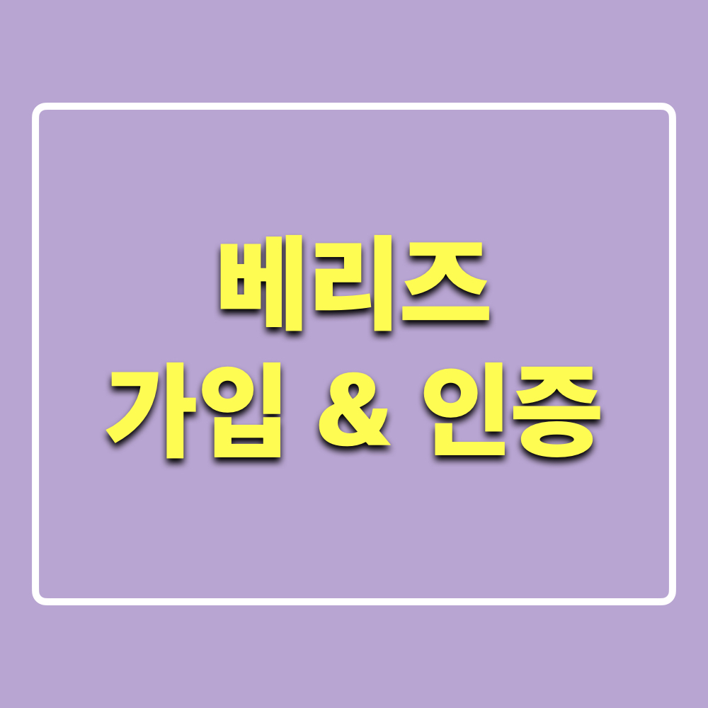 베리즈_Berriz
