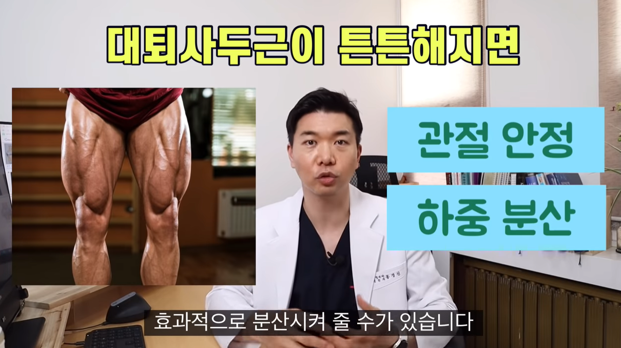 대퇴사두근이 튼튼해져야 합니다. 