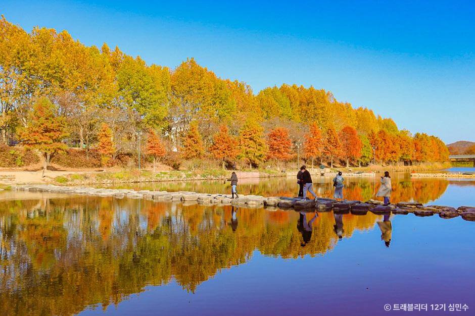 전국 단풍명소, 절정시기