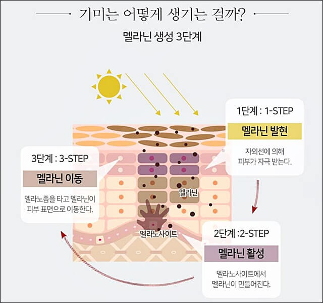도미나스 크림 후기 : 도미나 크림과 사용법 차이