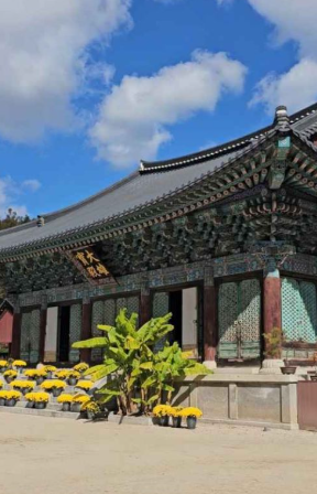 순천 가볼만한곳 베스트10