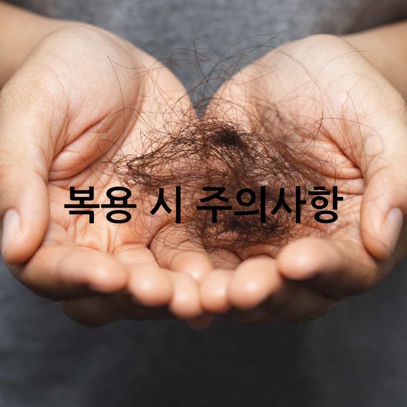 맥주효모와 비오틴, 탈모에 좋은 영양제