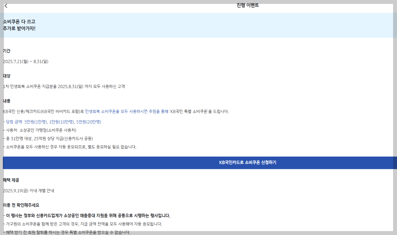 특별 소비쿠폰 국민카드 안내