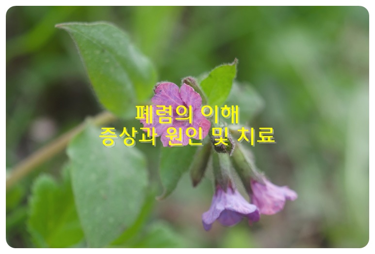 폐렴의 이해, 증상과 원인 및 치료