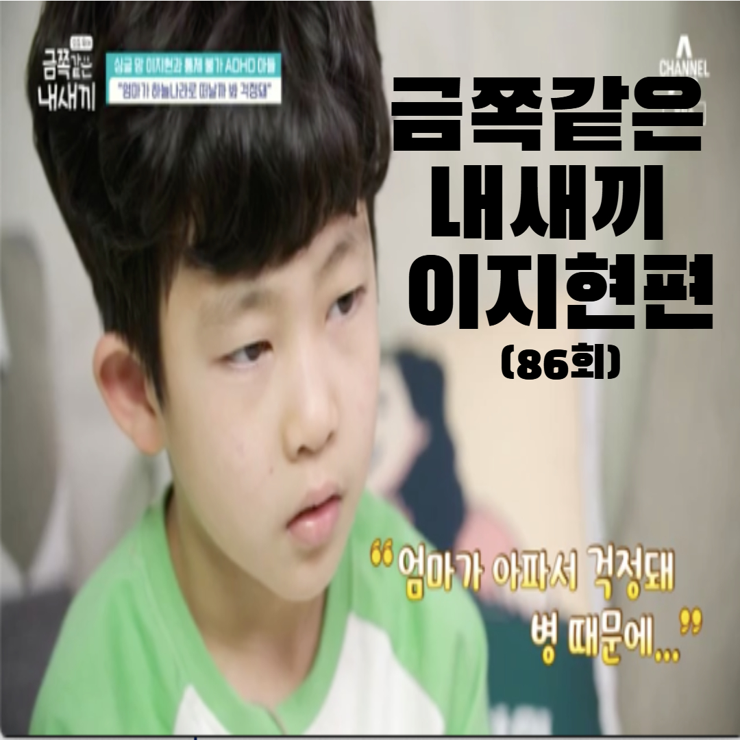 금쪽같은 내새끼 이지현