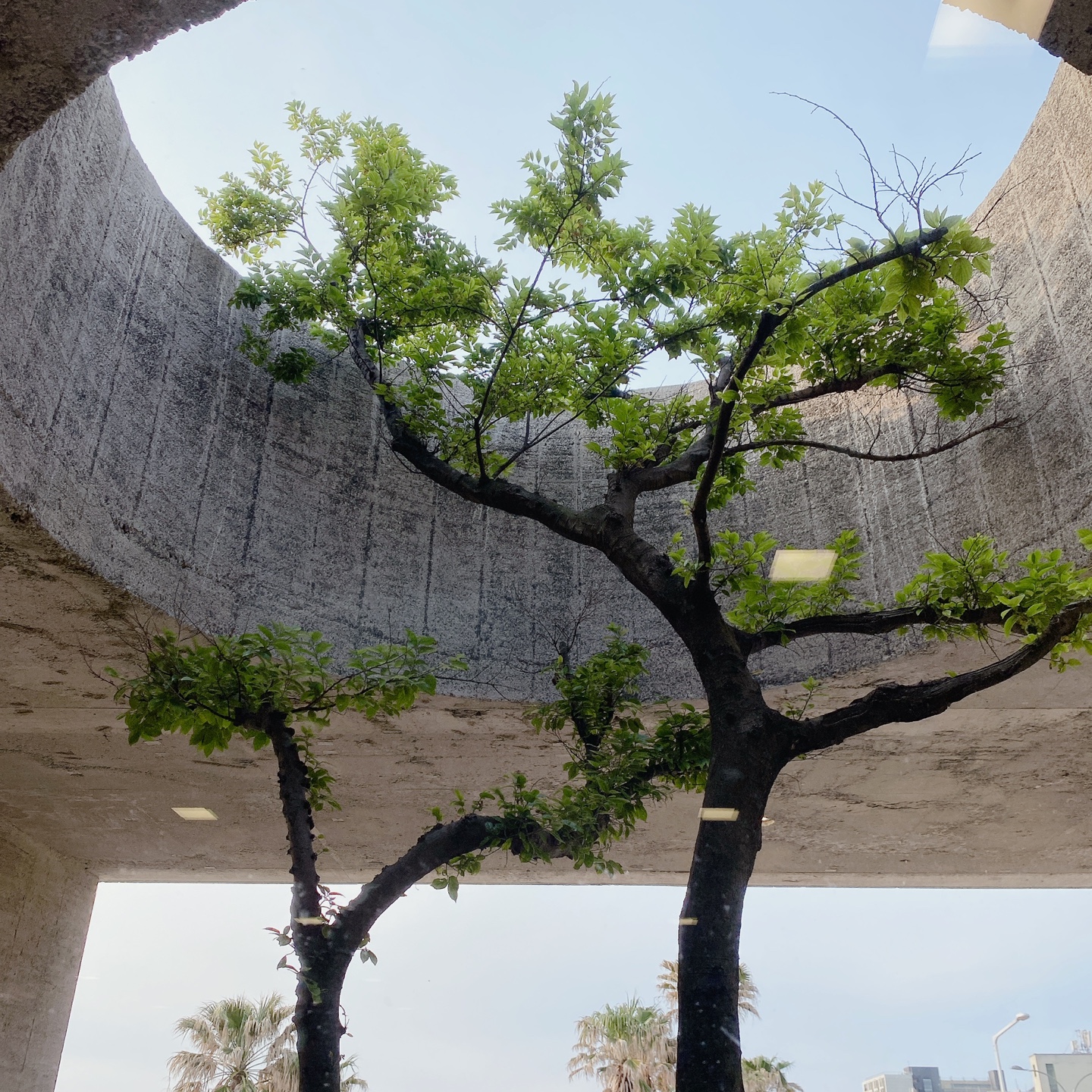 제주 이호테우 도두추억애거리 오션뷰 밀크티맛집 카페 진정성 종점