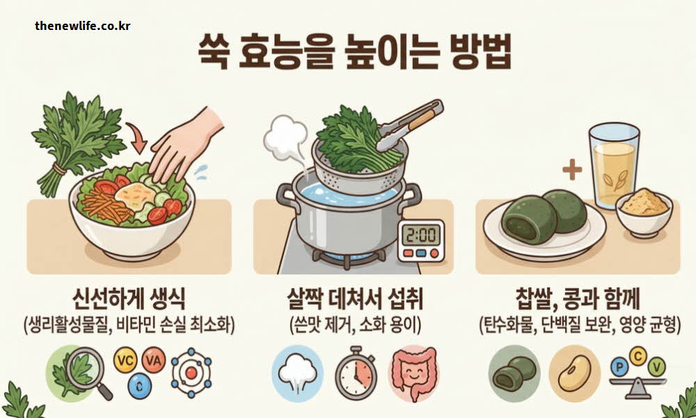 쑥 효능 높이는 복용법 먹는 방법