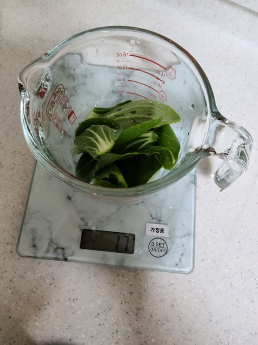 저울 위 청경채