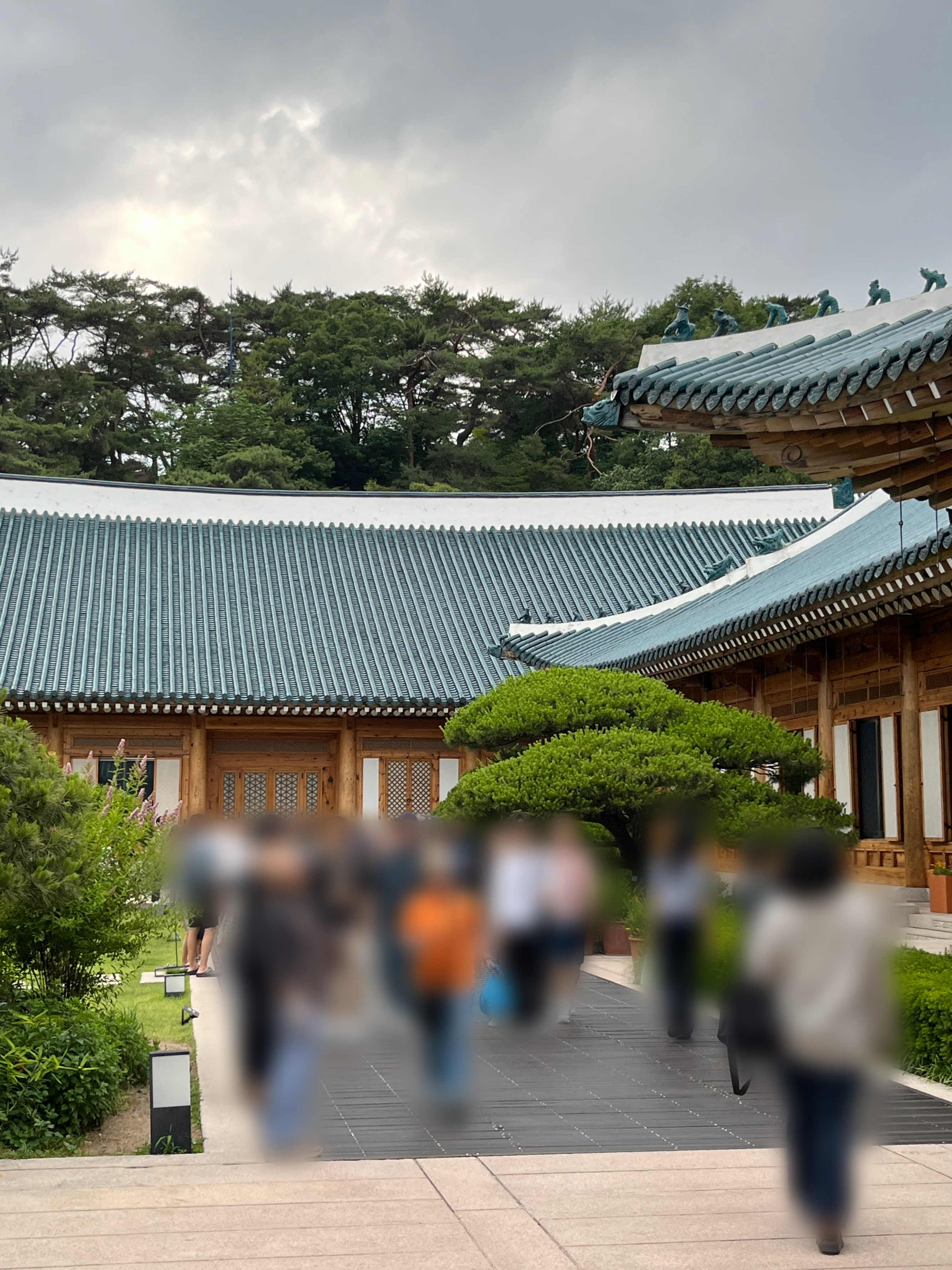 청와대 관람후기