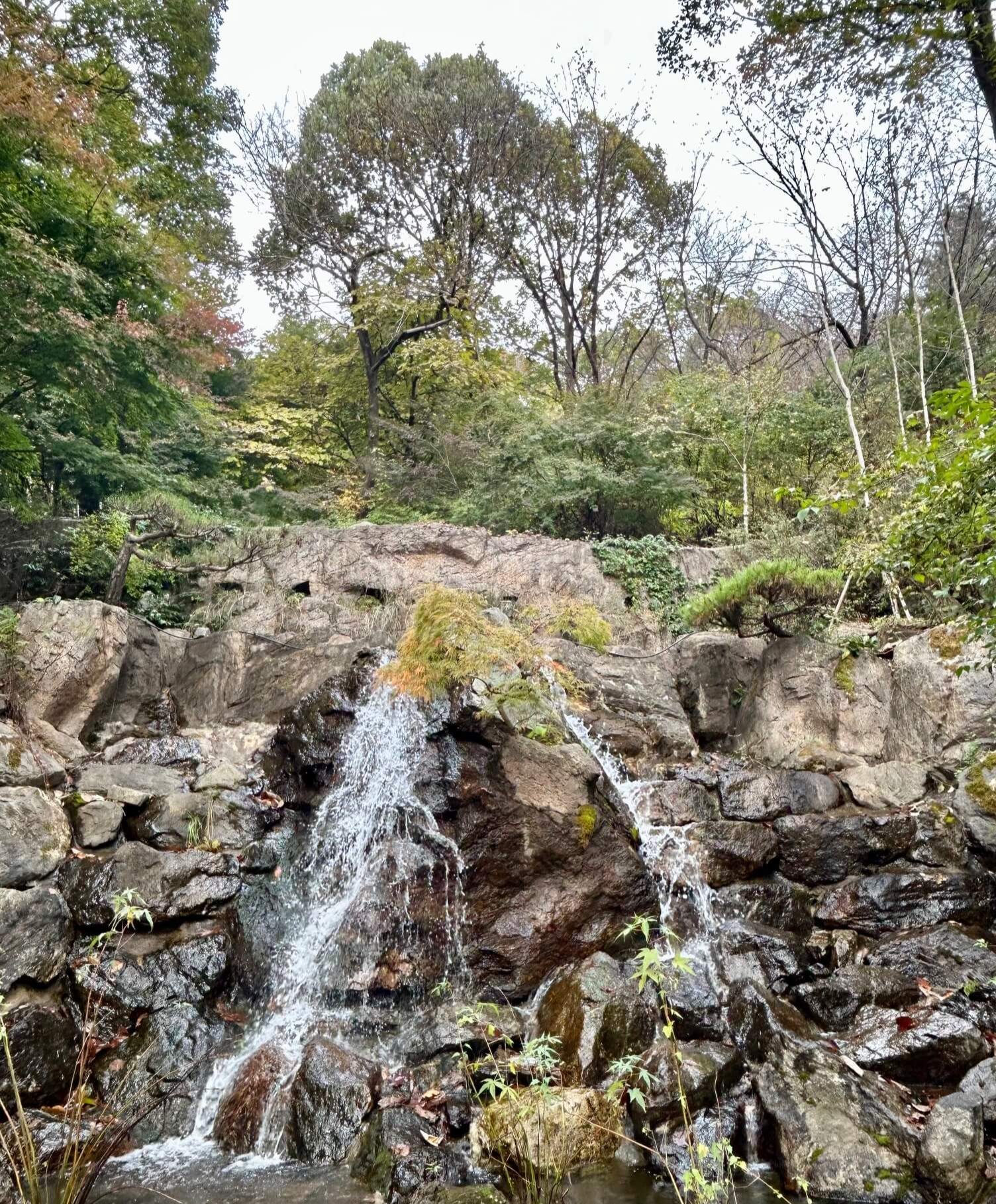 2024년 화담숲 10월 말 가을 단풍 폭포