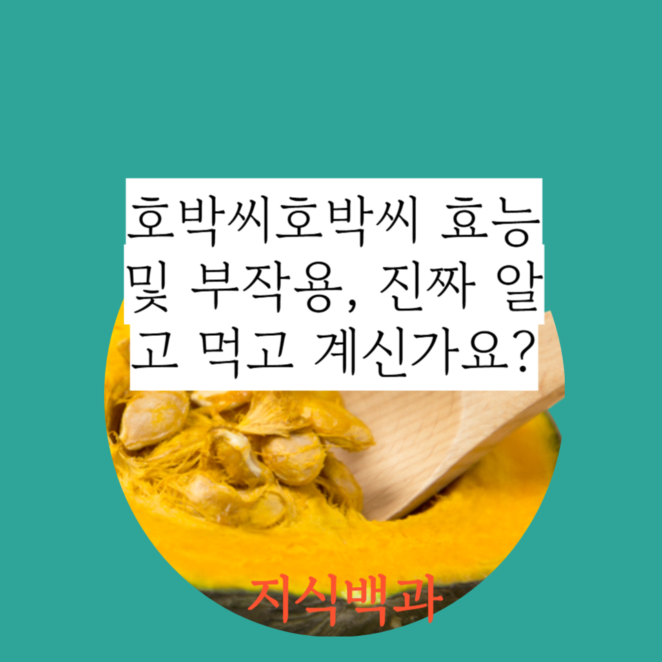 호박씨호박씨 효능 및 부작용, 진짜 알고 먹고 계신가요?