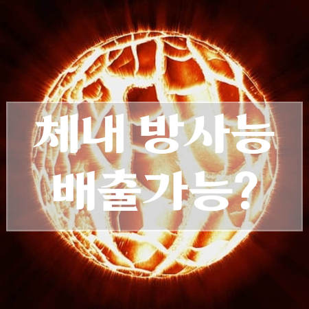 방사능-배출-음식