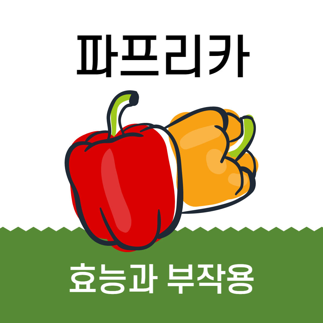 파프리카 빨강 노랑 녹색 주황 효능 부작용
