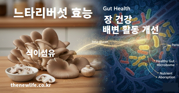 느타리버섯의 식이섬유가 장내 환경을 개선하고 배변 활동을 돕는 효능을 설명하는 인포그래픽 이미지.