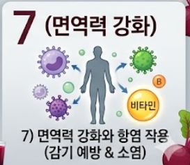 비트 효능