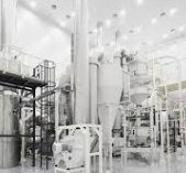 2025년 하반기 이디야 채용 : 지원자격