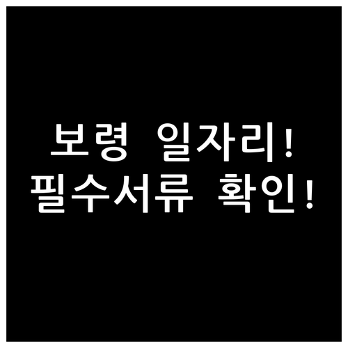 보령시 노인 복지 일자리 신청 기간과..