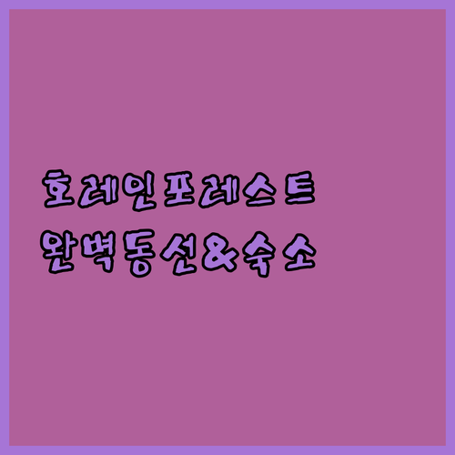 호 레인 포레스트 당일치기 핵심 동선..