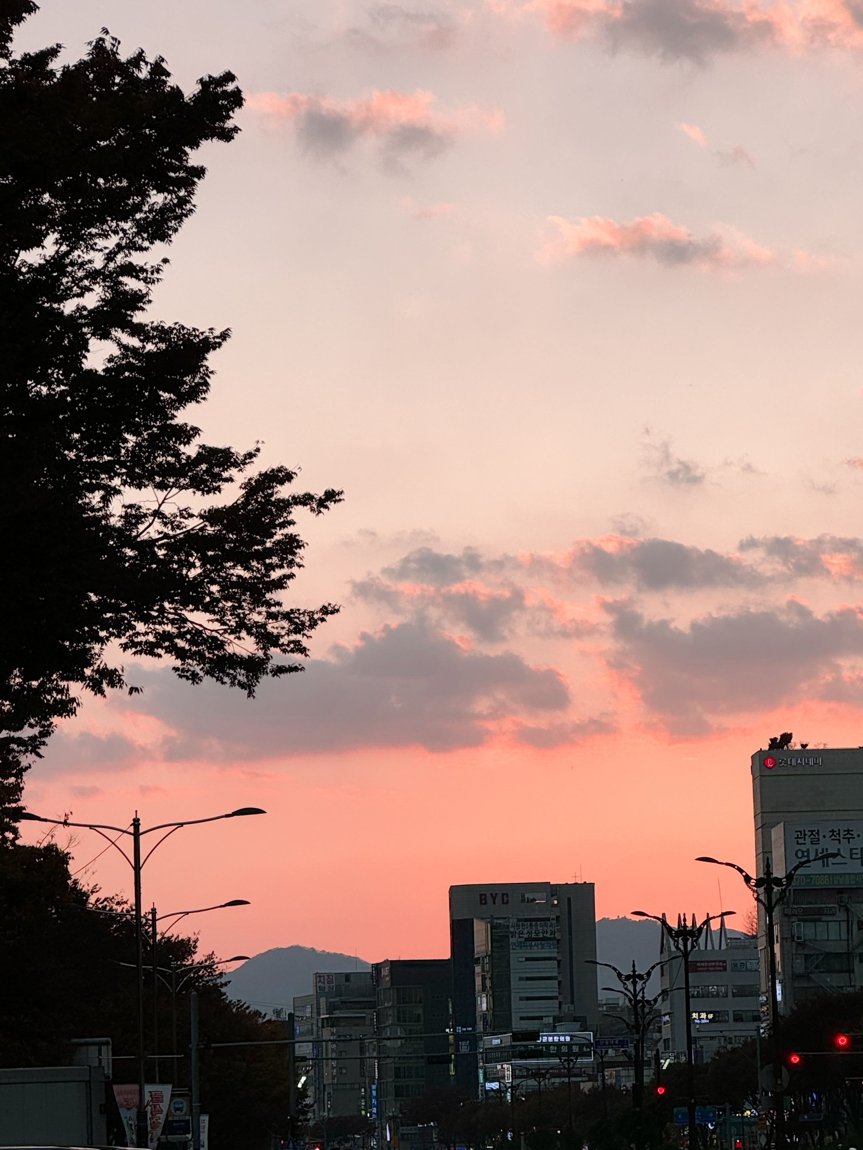 하늘건물사진